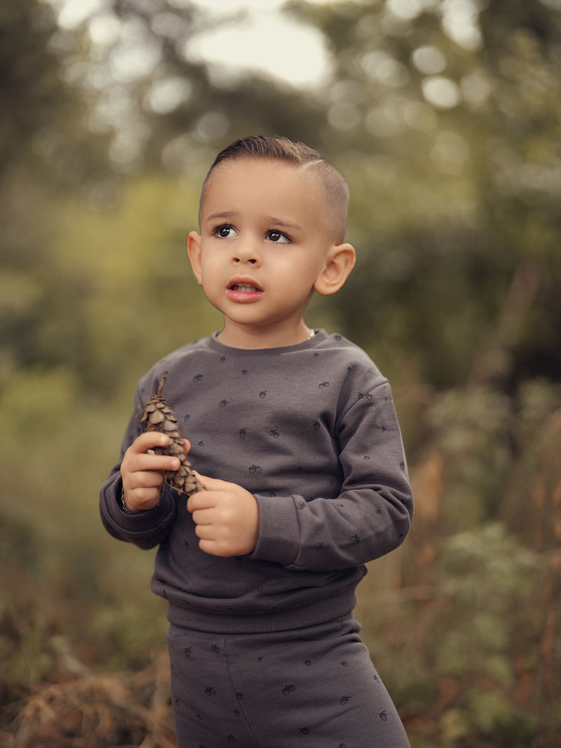 Acorn Crewneck