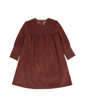 Royal Velvet Dress